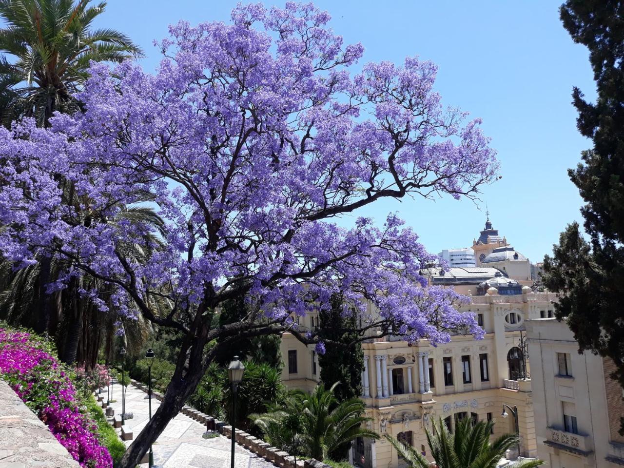 Apartament & Away In The Heart Of Historical Town Of *